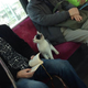 Image for article titled Some of Japan's Most Memorable Twitter Pics of 2014
